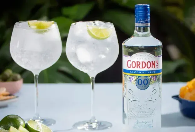 GORDONS DUBLE 10 CL