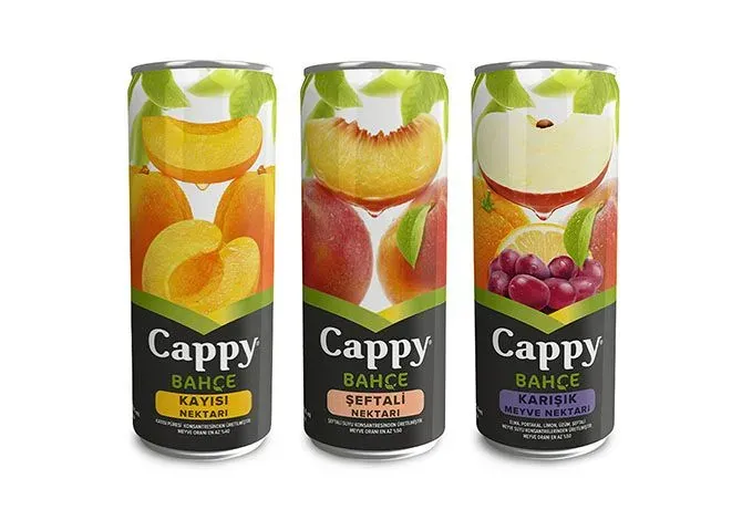 MEYVE SUYU 250 ML